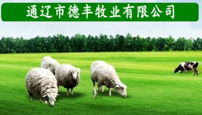 產(chǎn)品展示